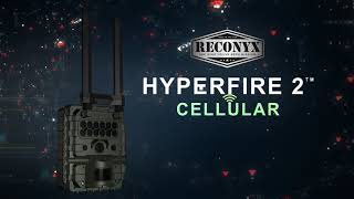 HyperFire 2 Cellular Camera [upl. by Olsewski]