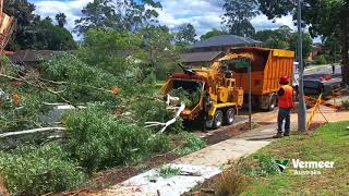 Vermeer BC2100XL wood chipper gum tree Sydney Australia [upl. by Eissen]