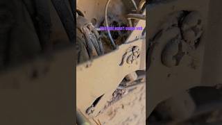 Finding a Wasp Nest While Changing Light Fixtures [upl. by Kaliski]