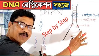 DNA Replication in bangla। DNA রেপ্লিকেশন। [upl. by Buffy]