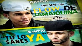 MantialGavela Flow De Jamaiquina [upl. by Gudren613]