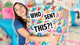 Opening all my BIGGEST Squishy Packages [upl. by Socin]