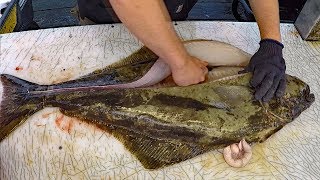 Halibut fishing catch clean cook  How to Fish for Halibut amp Cook Halibut [upl. by Tj55]