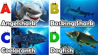 ABC Under the Sea Song  Sea Animals song  Learn English Alphabets and Animals for Kids abcd [upl. by Karil]