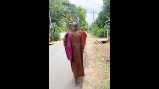 පිණ්ඩපාත චාරිකාව  A journey of alms and devotion with Buddhist monks monk dhamma pindapatha [upl. by Bala]