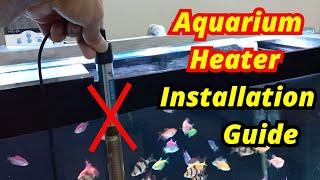 Aquarium Heater Selection Installation Position  umair saeed  urdu [upl. by Etz]