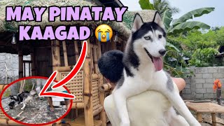 MAY PINATAY KAAGAD SI ZABRINA SA PLAYGROUND UNANG NAKAPASOK [upl. by Hsiekal]