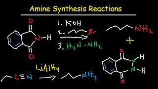 Amine Synthesis Reactions Organic Chemistry  Summary amp Practice Problems [upl. by Ajdan]