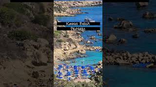 Where can you swim with sea turtles in Cyprus Here are the top 3 spots [upl. by Ainuj]