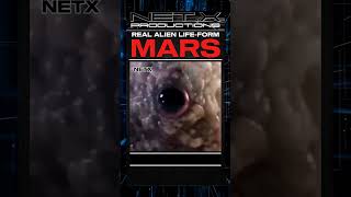 REAL ALIEN LIFEFORM FROM MARS mars alien nasa usa shorts [upl. by Peppi]