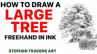 How to Capture the Majesty of a Large Tree freehand in Ink [upl. by Eadrahs]