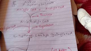 Ketones Body [upl. by Chapnick]