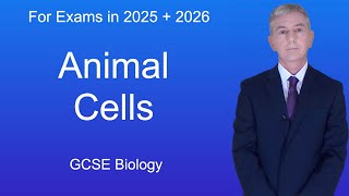 GCSE Biology Revision quotAnimal Cellsquot [upl. by Brower924]