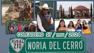 Noria del Cerro La Blanca Zacatecas COLEADERO 17 nov 2024 [upl. by Orly]