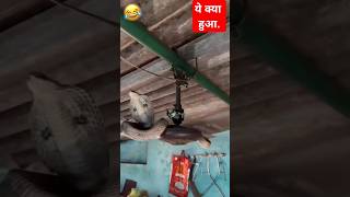 ये क्या हुआ funny video views viralvideo comedy shortfeed shots ytshorts reels external [upl. by Harobed]