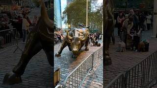 Charging into NYC The Iconic Wall Street Bull on Broadway Shorts CityPulseNYC [upl. by Allene]