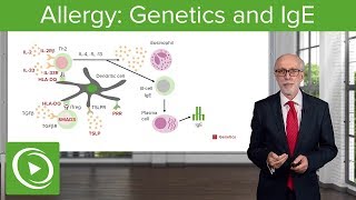 Allergy Genetics and IgE – Immunology  Lecturio [upl. by Lael]