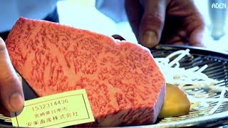 102 Miyazaki Wagyu Beef Lunch  Gourmet Teppanyaki FUKUOKA JAPAN [upl. by Celio]