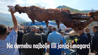 Na Derneku najbolje išli janjci i magarci [upl. by Hartzke797]