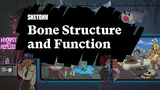 Bone Structure amp Composition Understanding the Basics Part 1  Sketchy Medical  USMLE Step 1 [upl. by Arikihs558]