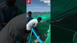 சின்ன மீன போட்டா🐠 பெரிய மீனு சிக்கும்🦈 இது நல்லா இருக்கே 🤔  NIHAL LIFE STYLE  Viral Fisherman [upl. by Cost255]