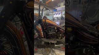 Dirtbags CaliforniaKilling itharleydavidson best aroundbikelife customharley [upl. by Nnairda]