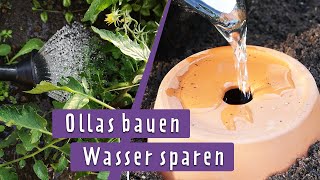 Bewässerung mit Ollas Praktische Gießhilfe selber bauen  MDR Garten [upl. by Behrens857]