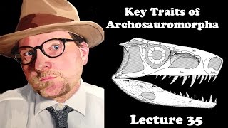 Lecture 35 Key Traits of Archosauromorpha A new group of Diapsid Reptiles [upl. by Artenehs]