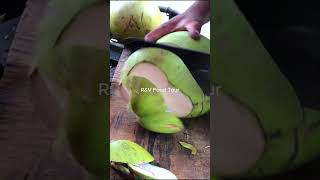 Big fresh coconut cutting skill shorts coconut streetfood viral asmr experiment explore fyp [upl. by Buerger]