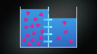 Diffusion Osmosis and Tonicity [upl. by Oicirtap622]