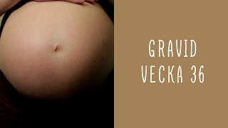 Gravid vecka 36 [upl. by Neslund]