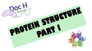 OCR ALevel Biology  Proteins  Part 1 212 Biological Molecules [upl. by Yelkao258]