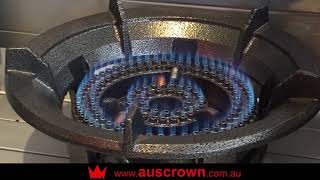 Auscrown Auto Ignition Ring Burner RBC176LP and RBC225LP  Operating Instructions [upl. by Proffitt]