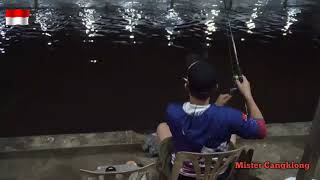 MANCING GT BAWAL PAKET MALAM 3 JAM [upl. by Imarej457]