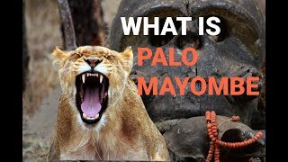 What is Palo Mayombe [upl. by Ybok]