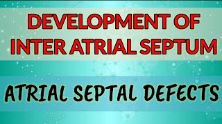 Development of Interatrial septumHUMAN EMBRYOLOGY [upl. by Aiahc604]