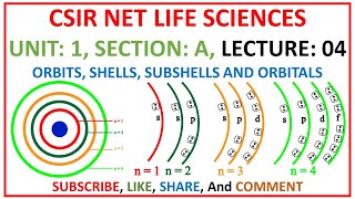 Orbits Shells Subshells and Orbitals  CSIR Life Sciences  CYTOLOGY [upl. by Elockin]