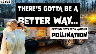 WHAT Its REALLY LIKE Starting A Beekeeping Business From NOTHING  Beekeeping 101 beekeeping [upl. by Eerak]