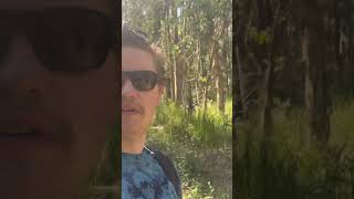 Walking through Coombabah lake conservation Park Gold Coast Australia nature naturelovers [upl. by Mannuela]