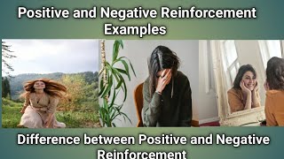 How to Train Individuals with Reinforcement  Difference between Positive and Negative Reinforcement [upl. by Enitsugua]