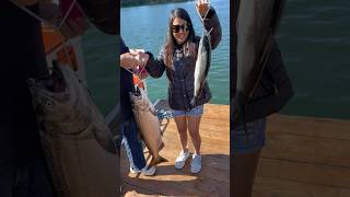 King salmon and Coho salmon in Siletz River in Oregonfishing salmon kingsalmon fish shorts [upl. by Yulma]