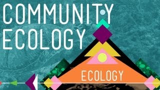 Community Ecology Feel the Love  Crash Course Ecology 4 [upl. by Hazlip]