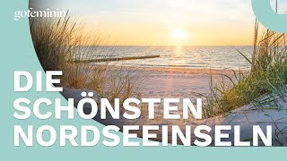 Das sind die 5 beliebsesten Nordseeinseln [upl. by Llehsad]