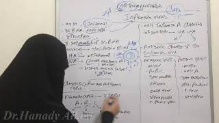 🥵🤧🗣 Orthomyxoviruses  influenza virus Part 1 🗣👀🥶 [upl. by Hersch]