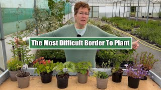 What Should You Plant in the ‘Coffin Border’ Perennials for Narrow Shallow amp Dry Borders [upl. by Arehahs49]