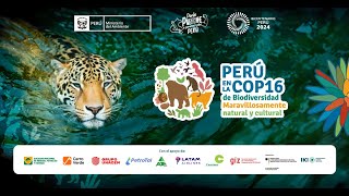 Perú en la COP16  Meta 30x30 [upl. by Felecia]