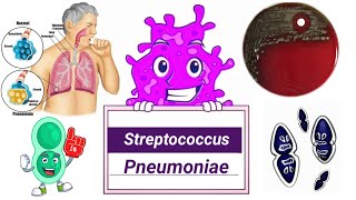 Streptococcus pneumoniae English  Microbiology [upl. by Aivila462]