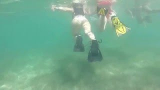 Snorkeling in Akumal Bay  Mexico  GoPro 3 [upl. by Player991]