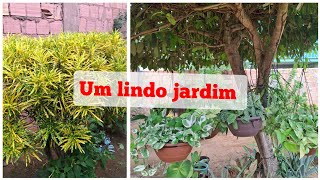 TOUR POR UM JARDIM DE UMA AMIGA COM LINDAS FOLHAGENS COLORIDAS E BEM CUIDADAS🤩 [upl. by Ihana]