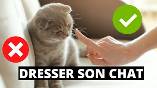 Tuto  Comment dresser son chat [upl. by Westney]